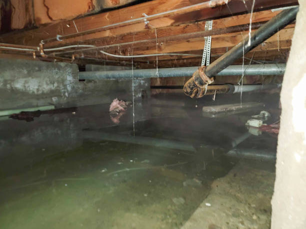 Best Residential water damage restoration  in Ridgefield Park, NJ