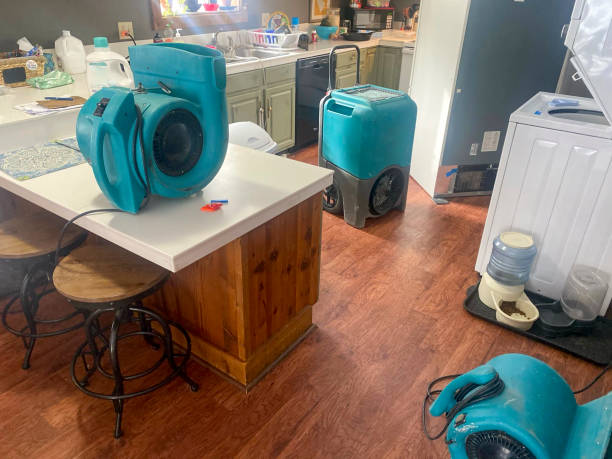 Best Water damage repair service  in Ridgefield Park, NJ