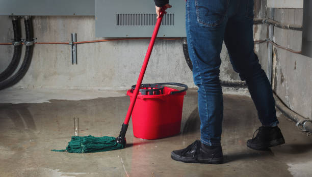 Reliable Ridgefield Park, NJ Water damage restoration Solutions