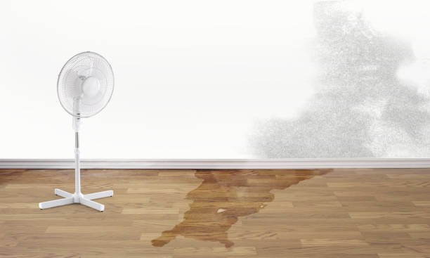 Best Water damage cleanup near me  in Ridgefield Park, NJ