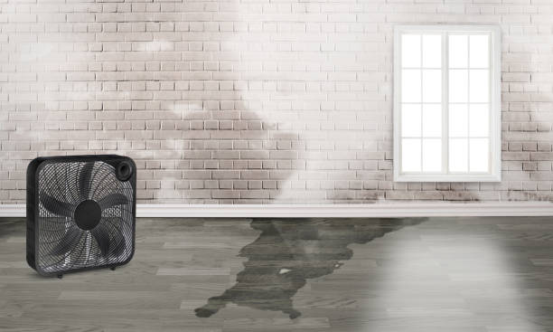 Best Water damage restoration specialists  in Ridgefield Park, NJ