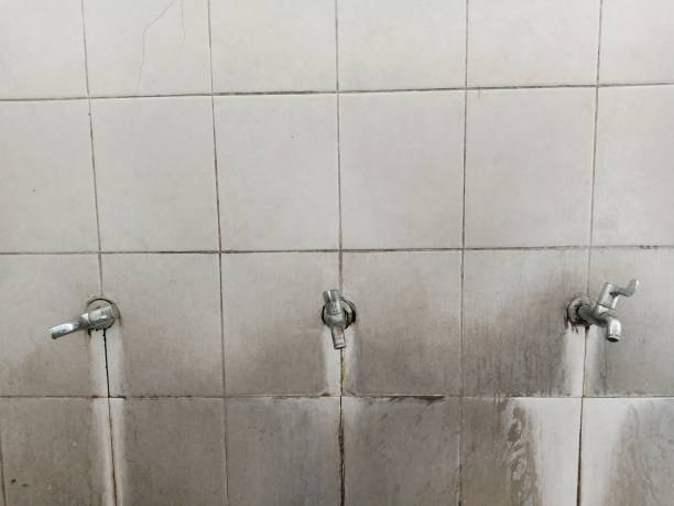 Best Water damage restoration process  in Ridgefield Park, NJ