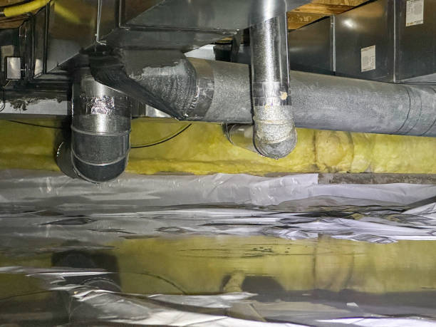 Best Local water damage restoration  in Ridgefield Park, NJ
