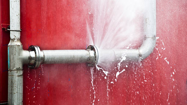 Best Carpet water damage restoration  in Ridgefield Park, NJ