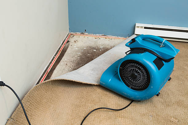 Best Fire Damage Restoration  in Ridgefield Park, NJ