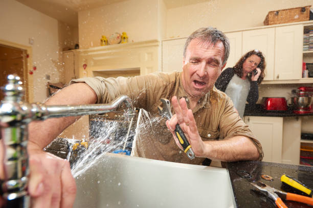 Best Water damage restoration experts  in Ridgefield Park, NJ
